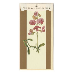 p O[eBOJ[h UECRNV Everlasting Pea  A [ 莆 ړI l  ԕ [OK ݌Ɍ