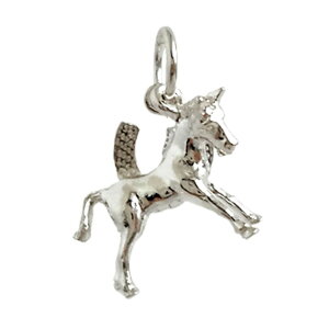 Vo[ `[ |j[ CMX ANZT[ p[c lbNX uXbg sAX X^[OVo[ 925   킢 Mtg v[g 蕨 [OK