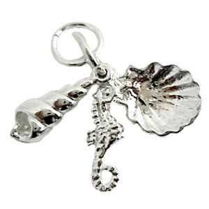 Vo[ `[ VFZbg Lkƃ^cmIgVS CMX ANZT[ p[c lbNX uXbg sAX X^[OVo[ 925  킢 Mtg v[g 蕨 