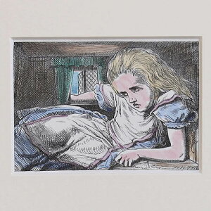 AeB[N zG Alice in the wonderland svc̍̃AX nhJ[ CXL Be[W CeA BG Ǌ| A[g  }G t[t