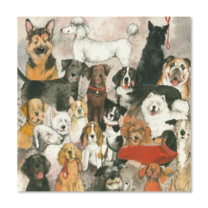 Alex Clark AbNXEN[N O[eBOJ[h  hbO p Xe[Vi[ [ BG 莆 ړI  킢   [OK