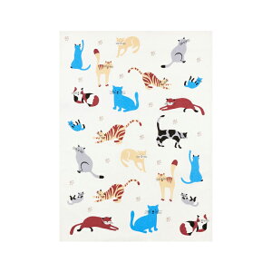 KRACHT vg eB[^I ˂ hCc N[Ng n[tl Lb` BG t@ubN z Mtg v[g 蕨 [2܂OK