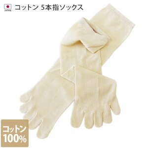 s{ y ₦ 5{wC z Rbg Ci[ C d˂΂p MTCY nC\bNX / 22-24.5cm fB[X \bNX ₦C ₦ƂC 5{w\bNX 5{