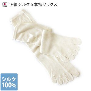 s{ y ₦ 5{wC VN z  Ci[ C d˂΂p MTCY nC\bNX / 22-24.5cm fB[X \bNX ₦C ₦ƂC 5{w\bNX 5