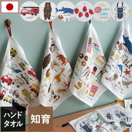 日本製 ガーゼタオル ハンドタオル ずかんタオル / 33×33cm ガーゼハンドタオル タオル タオルハンカチ …
