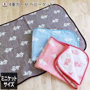 yxr[G30OFFN[|Ώہz { 4dK[[ xr[Pbg ~jPbgTCY N} / 50×70cm xr[ObY Pbg K[[Pbg ^IPbg Rbg K[[ xr[ Ԃ j