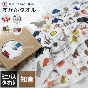 { K[[^I ~joX^I ^I / 47×100cm 4dK[[ ^I  oX^I z   RpNg } xr[ LbY q ۈ牀 ct Mtg