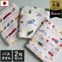 日本製 【速乾 薄手】 ガーゼタオル バスタオル 2枚セット 男の子柄 / 約62×124cm タオル 薄手 コンパクト 吸水 速乾 ベビー 子供 保育園 幼稚園 ギフト セット まとめ買い SALE