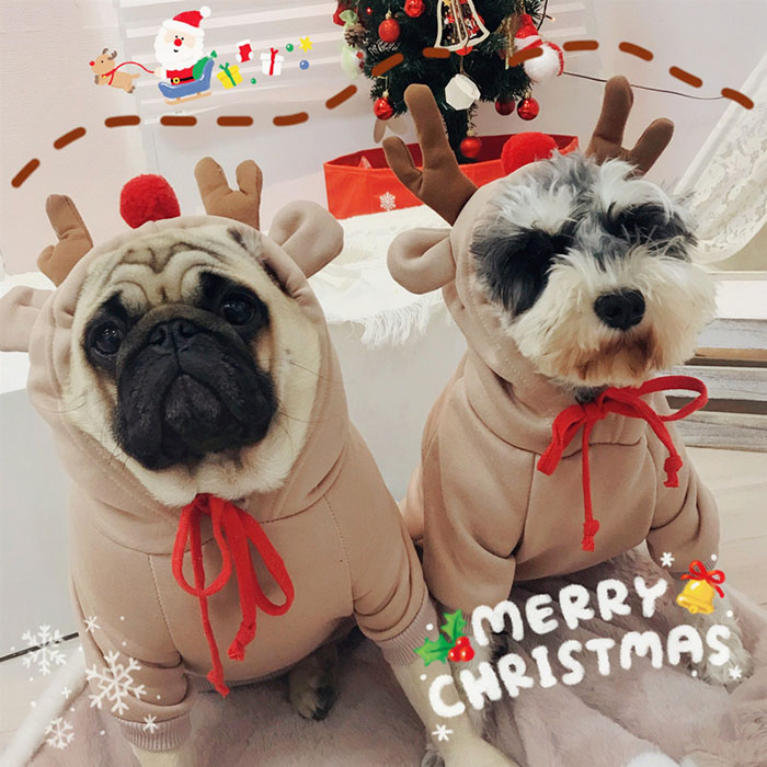 【楽天市場】犬服 トナカイ パーカー クリスマス あったか 可愛い