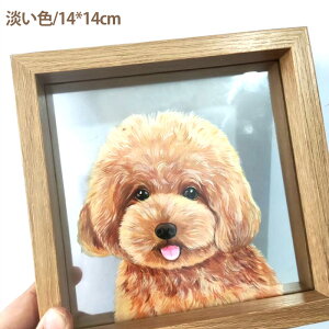 ybg I[_[Chё ʐ^  ʐ^ G ObY IWi A tHgt[ ObY CeA 킢  L  NX}X v[g LOi lR v