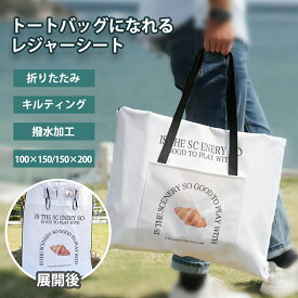 レジャーシート 厚手 コンパクト 大きい 子供 遠足 一人用 2人用 防水 大判 200 150 100 軽量 撥水 大きいサイズ 防水2〜3人用 運動会 おしゃれ 折りたたみ トートバッグ かわいい 軽い 可愛い