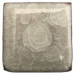 Tb ѓ ɂイ 1kg  |p ֖ 킮 |