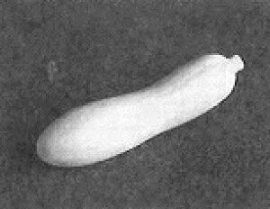 艟p ΍p^ u Z 킹 76×20mm KB-58-2 |p ^ | | 艟 ͂