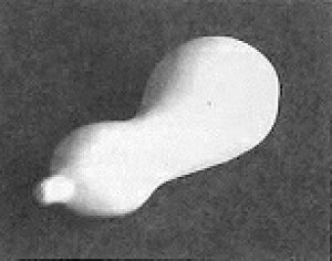艟p ΍p^ u Ђ傤 킹 63×27mm KB-58-4 |p ^ | | 艟 ͂