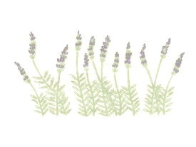 [陶芸 下絵具] 下絵転写紙　2色ラベンダー(小)