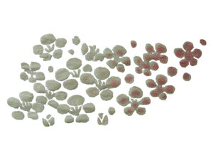 [| G] G]ʎ@@2F炵~@bh