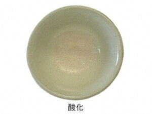 [| ֖] LV[Y@ԗqց@1kg