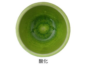 [���| �֖�] L�V���[�Y�@�q���K���X�ց@1kg