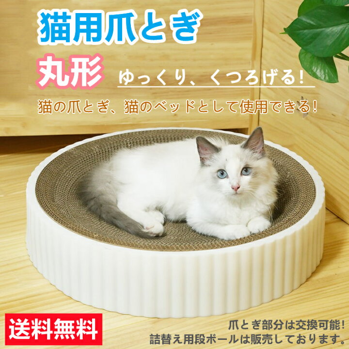 楽天市場 猫爪とぎ 人気 猫用爪とぎ 時空コンパス ホワイト 段ボール スクラッチャー 猫おもちゃ 猫ベッド ストレス解消 丸形 爪磨き おしゃれ 可愛い 送料無料 ホワイト 北海道 沖縄 離島を除く Ytshop