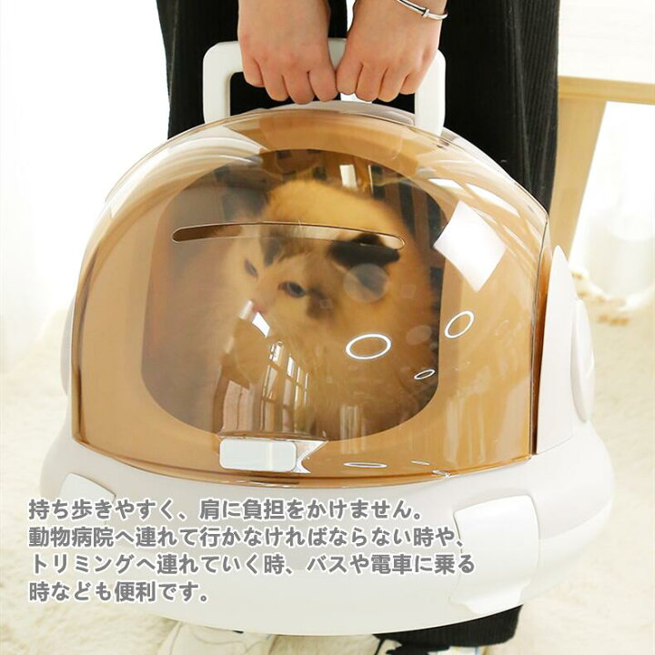楽天市場 ペットキャリーバッグ 小型犬 送料無料 航空箱 ドライブボックス ペットバッグ 猫用 犬用 おでかけ 小型犬キャリーケース 通気性抜群 車載犬猫小動物用 おでかけネコベッド 送料無料 北海道 沖縄 離島を除く Ytshop