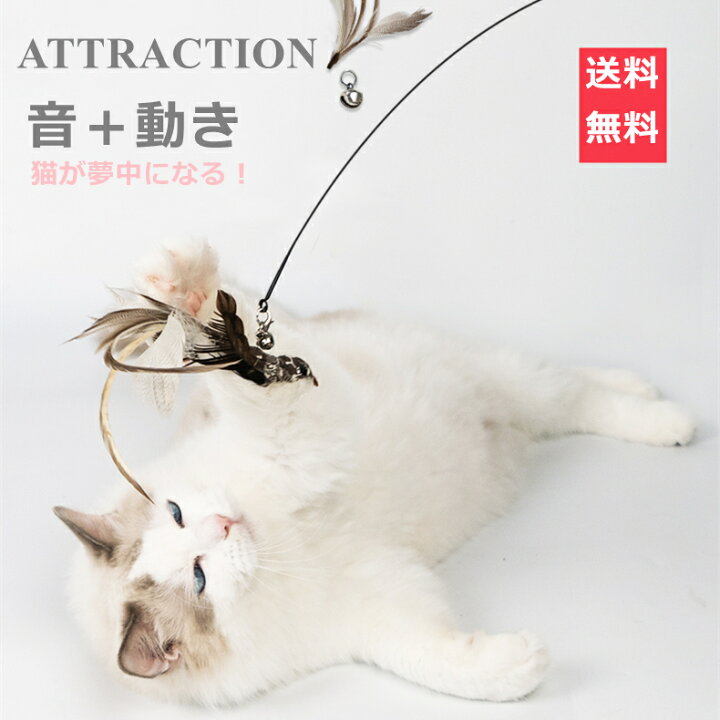楽天市場 1000円ポッキリ 送料無料 猫おもちゃ 猫じゃらし 天然羽根 じゃれ猫 ストレス解消 ねこじゃらし 猫のおもちゃ 釣り竿 人気 猫の大好物 ペット用品 送料無料 北海道 沖縄 離島を除く Ytshop