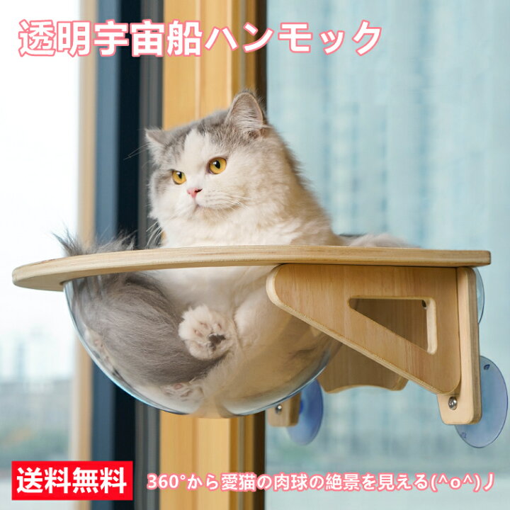 楽天市場 ペット用 猫 吸盤型 猫用 宇宙船 ハンモック ベッド 強力吸盤 耐荷重 kg 猫ベッド 半球 透明 窓 壁 取り付けタイプ 40x40cm 吸盤ハンモック 送料無料 北海道 沖縄 離島等を除く Ytshop