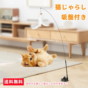 yԎo999~zL zՎ  L炵 ˂  LI` VR̉H _t e qL̂ lC lV Lp ^s kC  