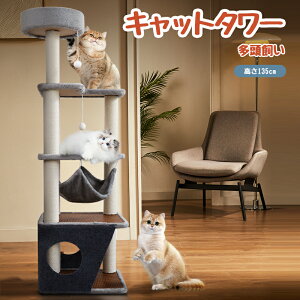 yX[p[SALE&15%OFFzyL炵v[gzLbg^[ L^[ Lbg^[ؐ ^L 傫nbN Lbg^[u @\ lC ^ Lbg^[ 
