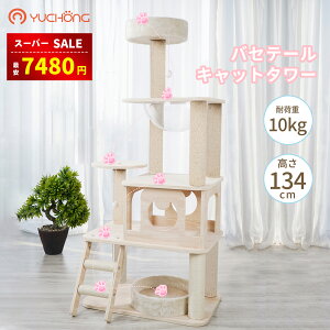 yX[p[SALE&z7480~&L炵v[gzLbg^[ L^[ ؐLbg^[^ ؐ  Vv Lbg^[u X^_[h R Lbg^