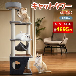 yX[p[SALE&z4695~&L炵v[gzLbg^[ L^[ Lbg^[ؐ ^L 傫nbN Lbg^[u @\ lC ^ Lbg^