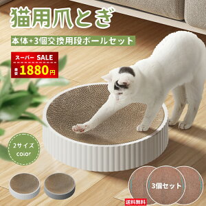 yX[p[SALEzȏ㊄1880~zL ܂Ƃ ܌ L܌ 3p_{[ XNb`[ KK 芷\ ߂Ƃ RpX L Lxbh XgX 