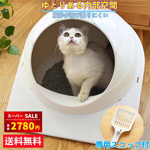 yX[p[SALEԎo2780~zL gC LgC lRgC Xy[XJvZ h[^ lRgC LpgC   юUȂ ɍcȂ F `  