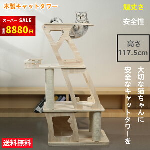 yX[p[SALE&zȏ㊄8880~zؐ Lbg^[ L^[ Lbg^[ ؐLbg u X^_[h Lbg^[FD B R x ؐ Lbg^