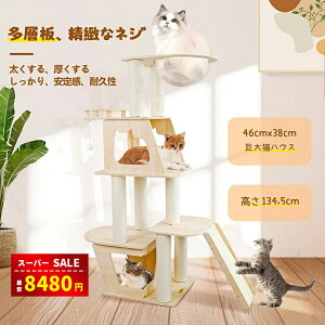 yX[p[SALE&zȏ㊄8480~zؐ Lbg^[ Lbg^[ L^[ ^ FD B  Vv u X^_[h Lbg^[ؐ nbNt ^