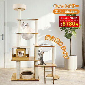 yX[p[SALE&zȏ㊄8780~zLbg^[ 6KẴ^[ ؐLbg^[ Lbg^[u ̃Xy[XJvZ 傫ăXȃfUC   