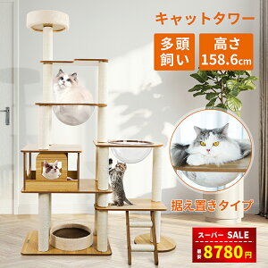 yX[p[SALE&zȏ㊄8780~zyyV܁zLbg^[ L^[ ؐLbg^[ Lbg^[u nbN 6KẴ^[ FD ̃Xy[XJvZ 傫