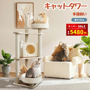 yX[p[SALE&zȏ㊄5480~zLbg^[ L^[ؐLbg^[ X FD OKĎqL ^L  Lbg^[u ȃXy[X o₷ t