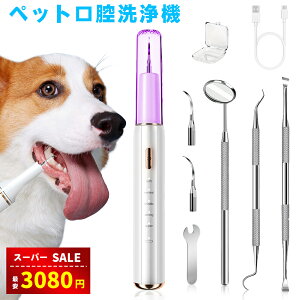 yX[p[SALE&68OFF3080~zpuV ybgo@ gN[i[ USB[d 5[h߉ LEDƖ N[jOLbg uV uV^ LpuV 