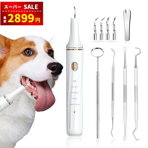 yyX[p[SALEz2899~zyAyV1ʎ܁zybgo@ puV gN[i[ USB[d 5[h߉ LEDƖ N[jOLbg uV 