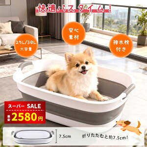 yX[p[SALE60%OFF2280~zybgoX ܂肽ݎ ybgoX^u ybgpoX^u 炢 h[Lp y v e oXPbg rt  L C Vv[