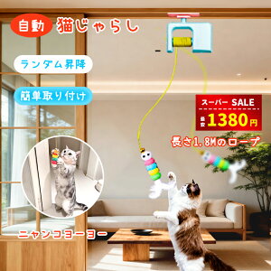 yX[p[SALEԎo1380~zdL炵 jR[[ L  lV d  lR  ˂ L炵 LbggC Lbg ~ ^s