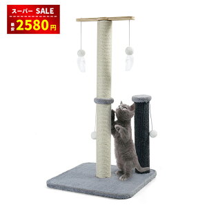 yX[p[SALEz2580~zL ܂Ƃ ߂Ƃ ܌ L܌|[ L  VRTCU ]{[ƃ||t   Ƌjh~ ^s |[ ւ 