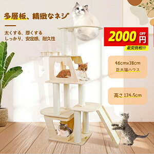 yX[p[SALE9180~L炵v[gzؐ Lbg^[ Lbg^[ L^[ ^ ؐ  Vv Lbg^[u X^_[h R Lbg^[ 