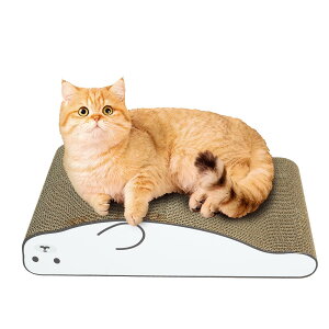 yX[p[SALE&15OFFzL ܂Ƃ ܌ L܌ _{[ XNb`[ KK L܂Ƃ i{[ VRf L Lxbhp ȃXy[X Ƌjh~ ^sP 