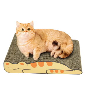 yX[p[SALE&15%OFFzL ܂Ƃ ܌ L܌ _{[ XNb`[ KK L܂Ƃ i{[ VRf L Lxbhp ȃXy[X Ƌjh~ ^sP 