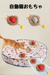 y500~OFF1980~zL  {[ 3[h\ L{[ Lߋ L Lڂ L d Lp {[ +ᑬ+C^NeBu[