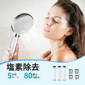 【赤字覚悟&限定10%OFF】塩素除去 シャワーヘッド ミスト マイクロナノバブル 5段階モード 専用カートリッジ 塩素 フィルター付き 増圧 節水 シャワー フェース 肌ケア 高洗浄力 毛穴 汚れ除