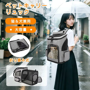 yX[p[SALE800~OFF4080~zyCgtn[lXtzbN ybgbN L[ ybgL[  L ^ ܂肽 5WAY g\ ʋC J[et ybgnEX 