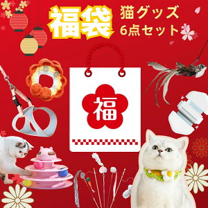 yő15%OFFz 2025 Lց{L炵{邮^[{ybguV{n[lX{VRH炵 _ŔC5{Zbg ybgp   V {[^