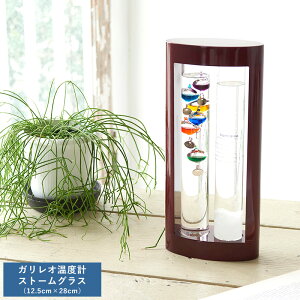 CeA u  KIxvXg[OX 12.5cm×28cm IuWF _  j l mI n D v[g Mtg